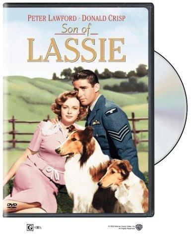 Son of Lassie