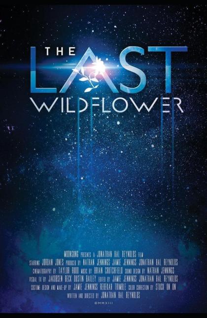 Last Wildflower