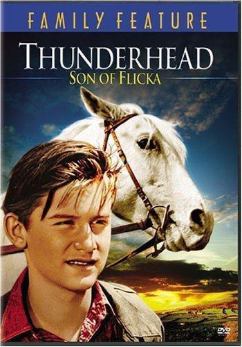 Thunderhead - Son of Flicka