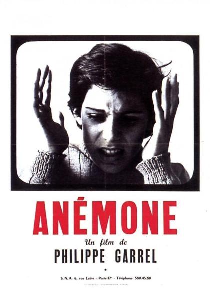 Anémone