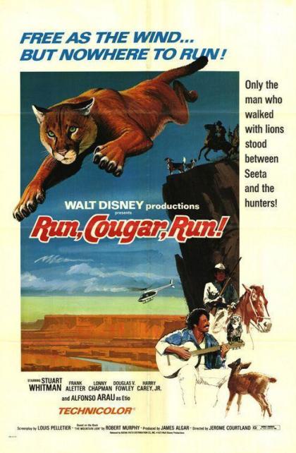 Run, Cougar, Run