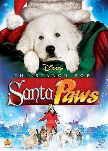 Search for Santa Paws