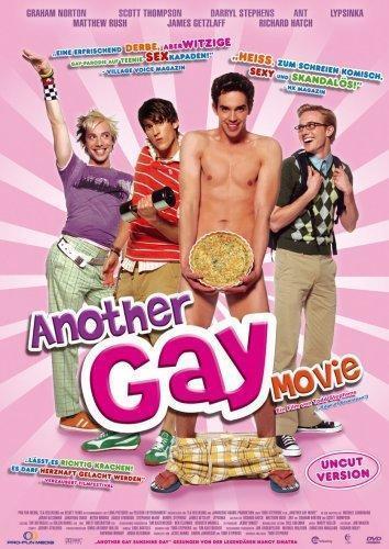 Another Gay Sequel: Gays Gone Wild!