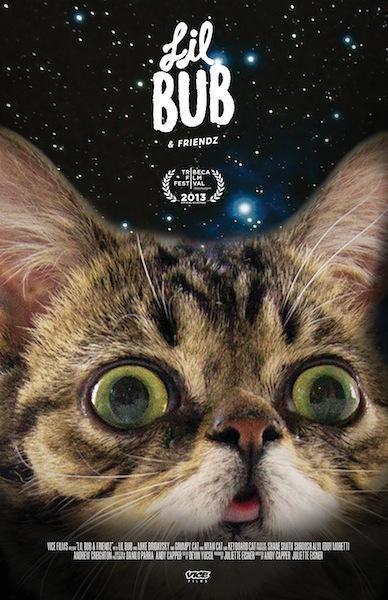 Lil Bub & Friendz