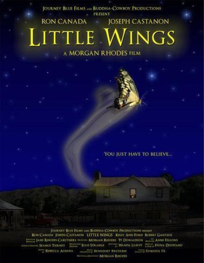 Little Wings