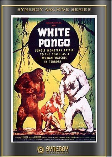 White Pongo