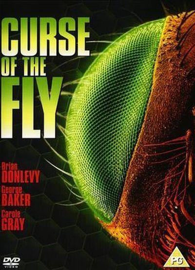 Curse of the Fly