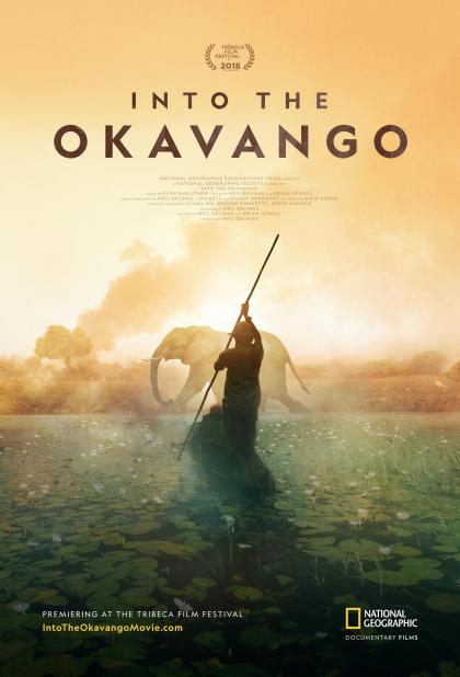 Into The Okavango 