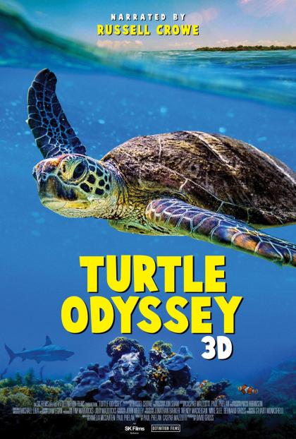 Turtle Odyssey 