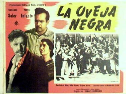 oveja negra