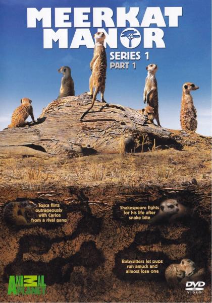 Meerkat Manor: The Story Begins