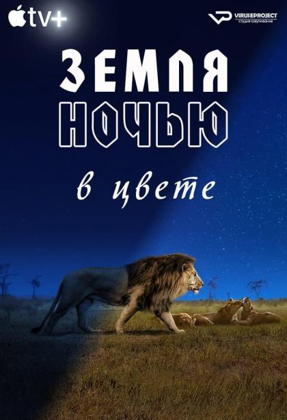 Земля ночью в цвете