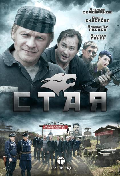 Стая