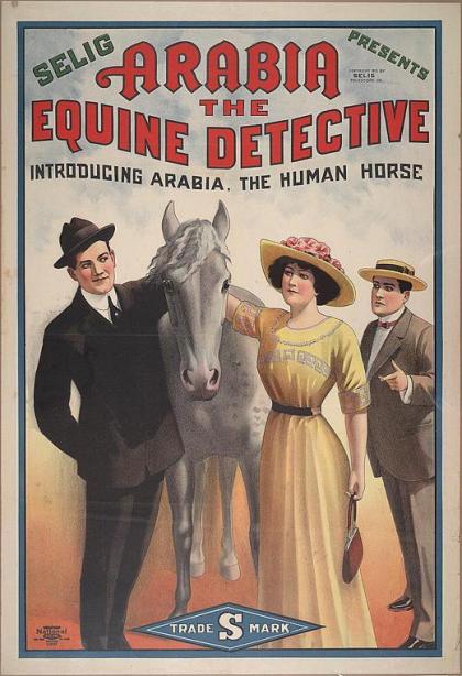 Arabia: The Equine Detective