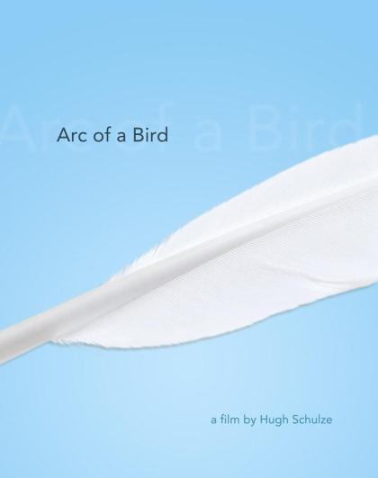 Arc of a Bird