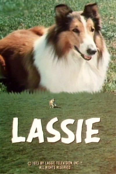 Lassie: The Adventures of Neeka