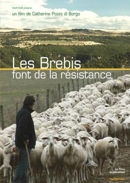 Les brebis font de la résistance