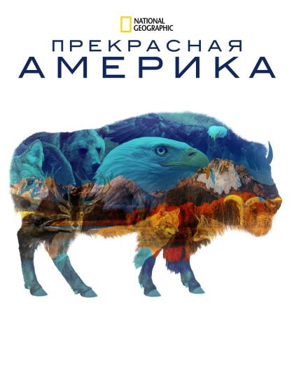 Прекрасная Америка