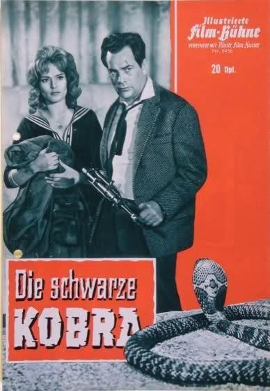 schwarze Kobra