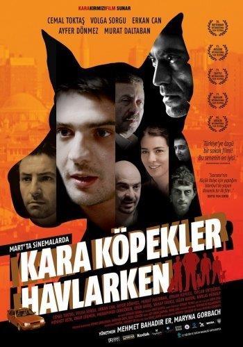 Kara köpekler havlarken