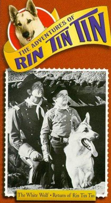 Adventures of Rin Tin Tin