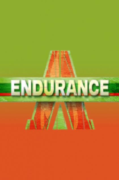 Endurance 2