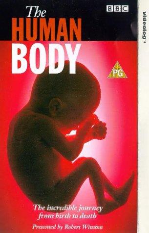 The Human Body