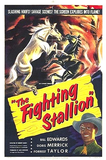 Fighting Stallion