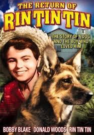 Return of Rin Tin Tin