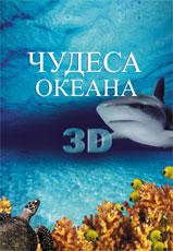 Чудеса океана 3D