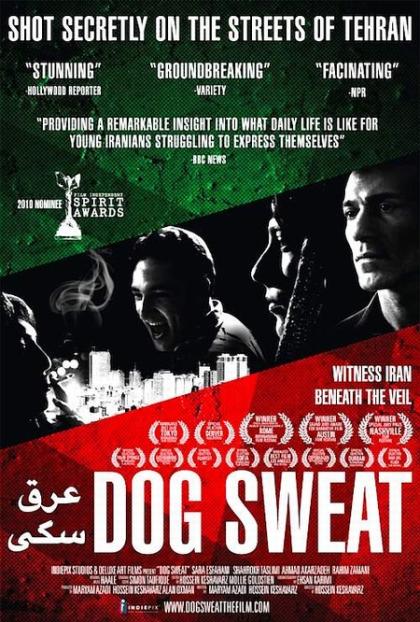 Dog Sweat