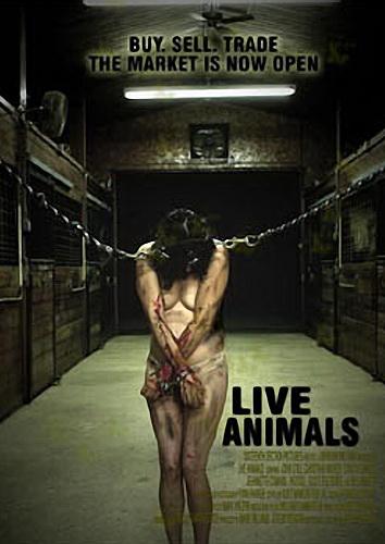 Live Animals