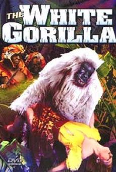 White Gorilla