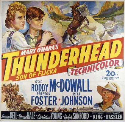 Thunderhead - Son of Flicka