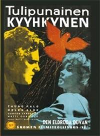 Tulipunainen kyyhkynen