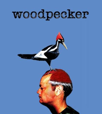 Woodpecker