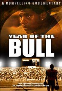 Year of the Bull