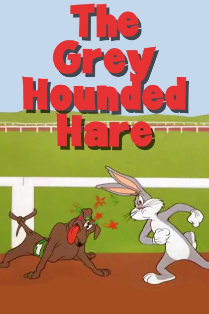 Grey Hounded Hare