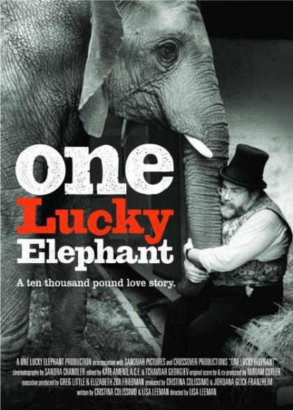 One Lucky Elephant