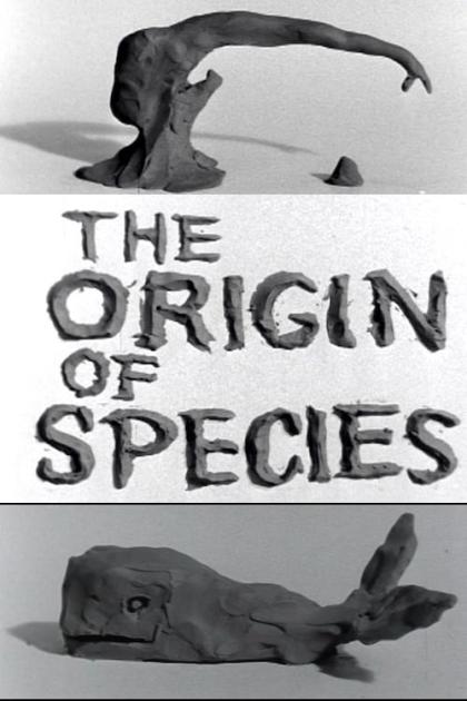 Clay or the Origin of Species