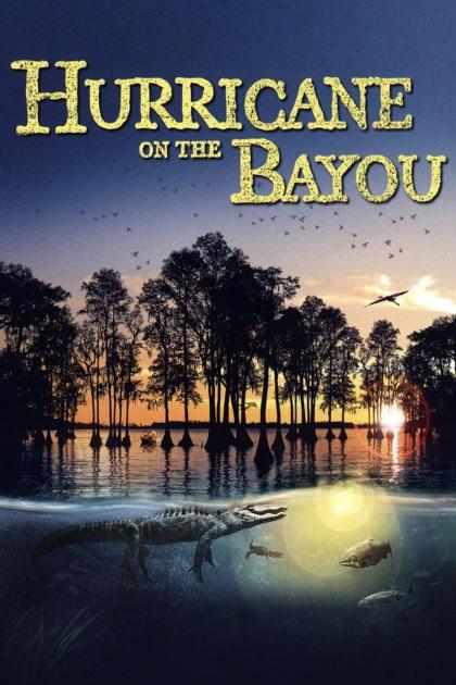 Hurricane on the Bayou