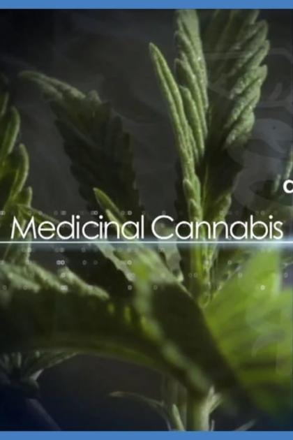 Medicinal Cannabis and its Impact on Human Health