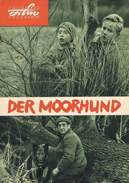 Moorhund