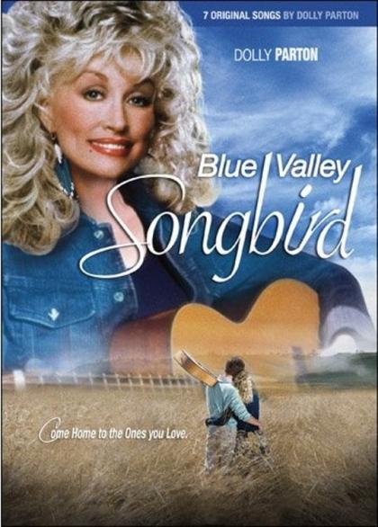 Blue Valley Songbird