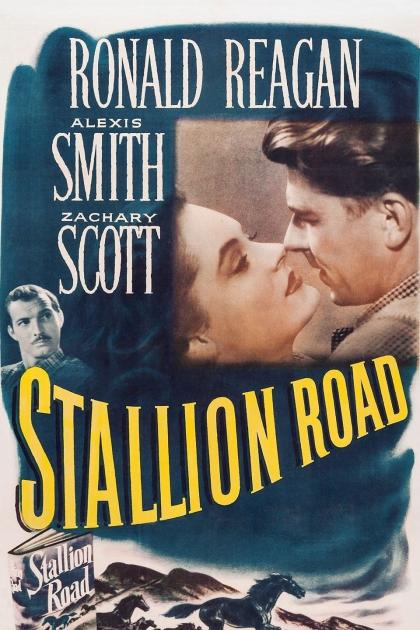 Stallion Road